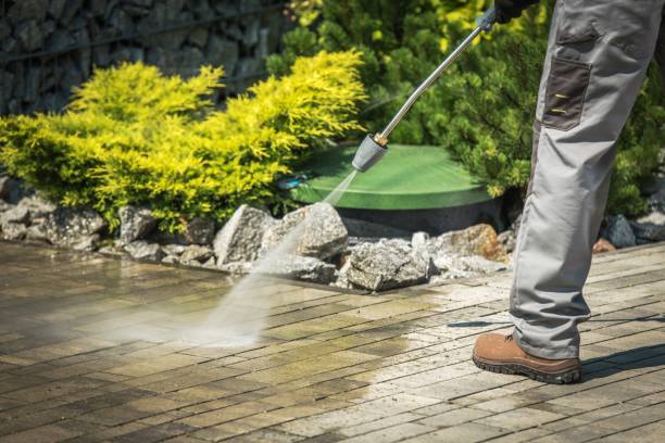 Best Animal Enclosure Cleaning  in Larimore, ND